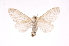  ( - INBIOCRI001374475)  @13 [ ] Copyright (2012) J. Montero Instituto Nacional de Biodiversidad