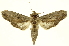  ( - INBIOCRI001374726)  @14 [ ] Copyright (2012) Juan Mata Lorenzen INBio
