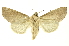  ( - INBIOCRI001374891)  @14 [ ] Copyright (2012) Juan Mata Lorenzen Unspecified