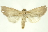  ( - INBIOCRI001374896)  @13 [ ] Copyright (2012) Juan Mata Lorenzen INBio