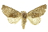  ( - INBIOCRI001374901)  @15 [ ] Copyright (2012) Juan Mata Lorenzen Unspecified