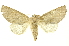  ( - INBIOCRI001374901)  @15 [ ] Copyright (2012) Juan Mata Lorenzen Unspecified
