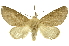 ( - INBIOCRI001376076)  @14 [ ] Copyright (2012) Juan Mata Lorenzen INBio