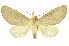  ( - INBIOCRI001376076)  @14 [ ] Copyright (2012) Juan Mata Lorenzen INBio