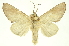  ( - INBIOCRI001376510)  @11 [ ] Copyright (2012) Juan Mata Lorenzen INBio