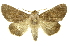  ( - INBIOCRI001376524)  @14 [ ] Copyright (2012) Juan Mata Lorenzen Unspecified