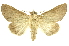  ( - INBIOCRI001376524)  @14 [ ] Copyright (2012) Juan Mata Lorenzen Unspecified