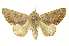  ( - INBIOCRI001378014)  @13 [ ] Copyright (2012) Juan Mata Lorenzen INBio