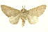  ( - INBIOCRI001378014)  @13 [ ] Copyright (2012) Juan Mata Lorenzen INBio