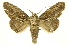  ( - INBIOCRI001407101)  @14 [ ] Copyright (2012) J. Montero INBio