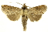  ( - INBIOCRI001410936)  @14 [ ] Copyright (2012) J. Montero INBio