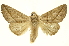  ( - INBIOCRI001617007)  @13 [ ] Copyright (2012) Juan Mata Lorenzen INBio