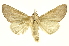  ( - INBIOCRI001617007)  @13 [ ] Copyright (2012) Juan Mata Lorenzen INBio