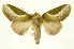  ( - INBIOCRI001619502)  @14 [ ] Copyright (2012) J. Montero INBio