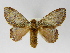  ( - INBIOCRI001619871)  @14 [ ] Copyright (2012) J. Montero Instituto Nacional de Biodiversidad