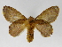  ( - INBIOCRI001619871)  @14 [ ] Copyright (2012) J. Montero Instituto Nacional de Biodiversidad