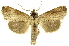  ( - INBIOCRI001629250)  @13 [ ] Copyright (2012) J. Montero INBio