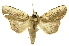  ( - INBIOCRI001629452)  @13 [ ] Copyright (2012) J. Montero INBio