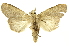  ( - INBIOCRI001629452)  @13 [ ] Copyright (2012) J. Montero INBio