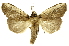  ( - INBIOCRI001629455)  @14 [ ] Copyright (2012) J. Montero INBio