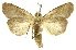  ( - INBIOCRI001629455)  @13 [ ] Copyright (2012) J. Montero INBio