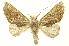  ( - INBIOCRI001645745)  @14 [ ] Copyright (2012) Juan Mata Lorenzen INBio