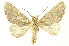  ( - INBIOCRI001645745)  @13 [ ] Copyright (2012) Juan Mata Lorenzen INBio