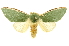  ( - INBIOCRI001660949)  @15 [ ] Copyright (2012) Juan Mata Lorenzen INBio