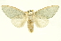  ( - INBIOCRI001660949)  @14 [ ] Copyright (2012) Juan Mata Lorenzen INBio