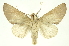  ( - INBIOCRI001662281)  @13 [ ] Copyright (2012) Juan Mata Lorenzen INBio