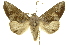  ( - INBIOCRI001662365)  @14 [ ] Copyright (2012) Juan Mata Lorenzen INBio