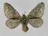  ( - INBIOCRI001675253)  @13 [ ] Copyright (2012) J. Montero Instituto Nacional de Biodiversidad