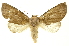 ( - INBIOCRI001675792)  @14 [ ] Copyright (2012) Juan Mata Lorenzen INBio
