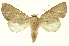  ( - INBIOCRI001675792)  @13 [ ] Copyright (2012) Juan Mata Lorenzen INBio