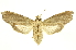  ( - INBIOCRI001678705)  @14 [ ] Copyright (2012) Juan Mata Lorenzen INBio