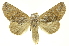  ( - INBIOCRI001689695)  @14 [ ] Copyright (2012) Juan Mata Lorenzen INBio