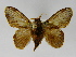  ( - INBIOCRI001689774)  @14 [ ] Copyright (2012) J. Montero Instituto Nacional de Biodiversidad