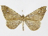  ( - INBIOCRI001689863)  @11 [ ] Copyright (2012) J. Montero Instituto Nacional de Biodiversidad