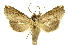 ( - INBIOCRI001694689)  @13 [ ] Copyright (2012) J. Montero INBio