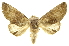  ( - INBIOCRI001698454)  @15 [ ] Copyright (2012) Juan Mata Lorenzen Unspecified