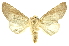  ( - INBIOCRI001698454)  @15 [ ] Copyright (2012) Juan Mata Lorenzen Unspecified