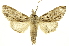  ( - INBIOCRI001706073)  @12 [ ] Copyright (2012) J. Montero INBio