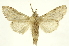  ( - INBIOCRI001706073)  @12 [ ] Copyright (2012) J. Montero INBio