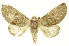  ( - INBIOCRI001707607)  @15 [ ] Copyright (2012) Juan Mata Lorenzen Unspecified