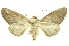  ( - INBIOCRI001727006)  @13 [ ] Copyright (2012) Juan Mata Lorenzen INBio