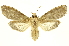  ( - INBIOCRI001727295)  @14 [ ] Copyright (2012) Juan Mata Lorenzen INBio