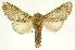  ( - INBIOCRI001733950)  @15 [ ] Copyright (2012) J. Montero INBio
