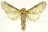  ( - INBIOCRI001733950)  @15 [ ] Copyright (2012) J. Montero INBio
