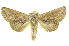  ( - INBIOCRI001743872)  @14 [ ] Copyright (2012) Juan Mata Lorenzen INBio