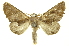  ( - INBIOCRI001754122)  @14 [ ] Copyright (2012) Juan Mata Lorenzen Unspecified